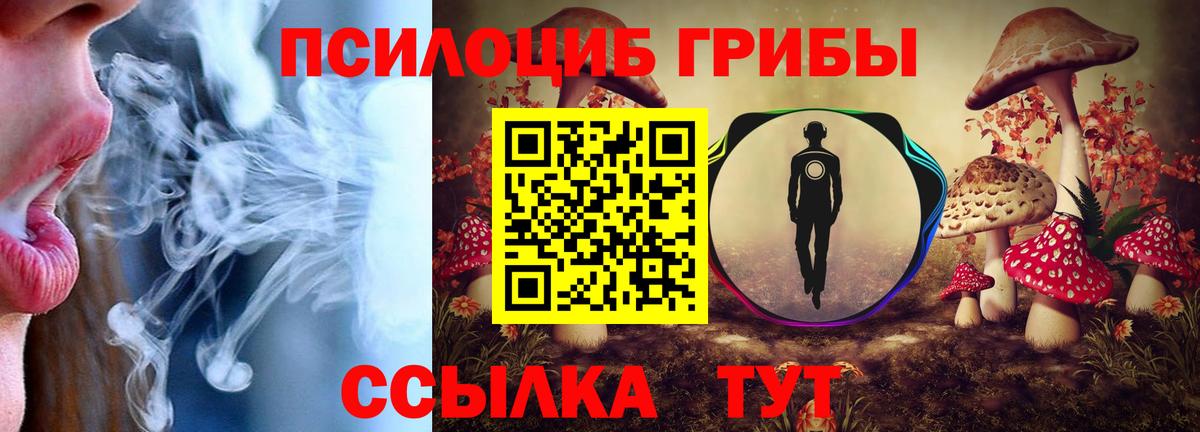 Псилоцибиновые грибы GOLDEN TEACHER  Вход с VPN  купить наркотик  Нерюнгри 