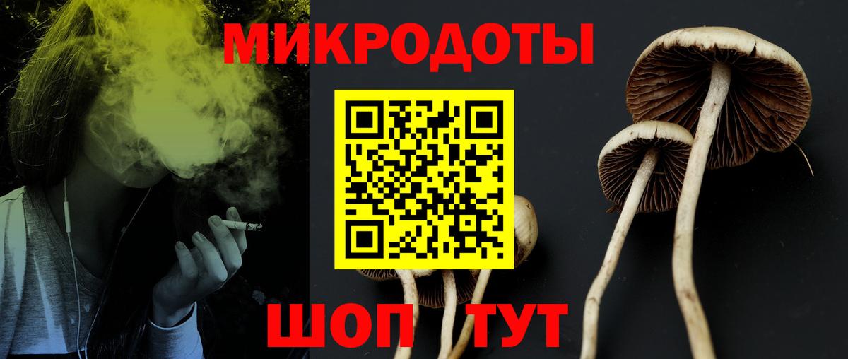 Псилоцибиновые грибы Magic Shrooms Нерюнгри